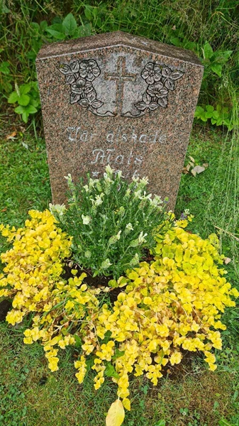 Hautatunnus: M N 24 86