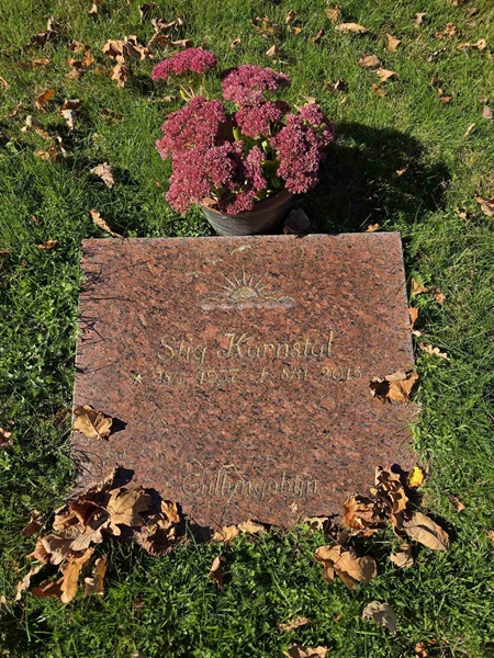 Hautatunnus: T A C   647-648