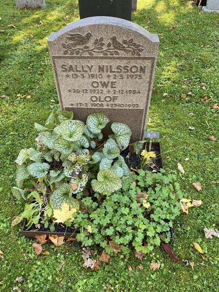 Hautatunnus: 1 H   352