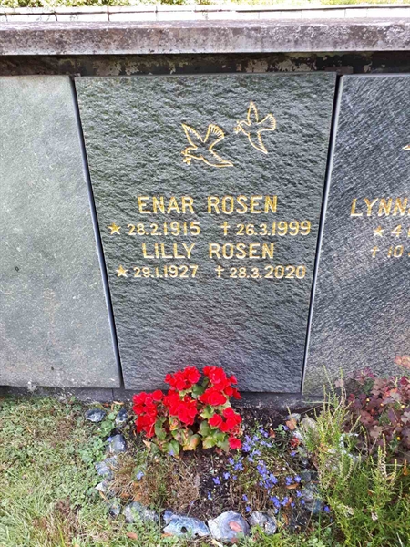 Gravnummer: GK U 4   286