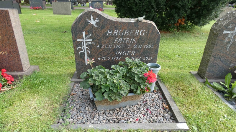 Grave number: SN D   223b
