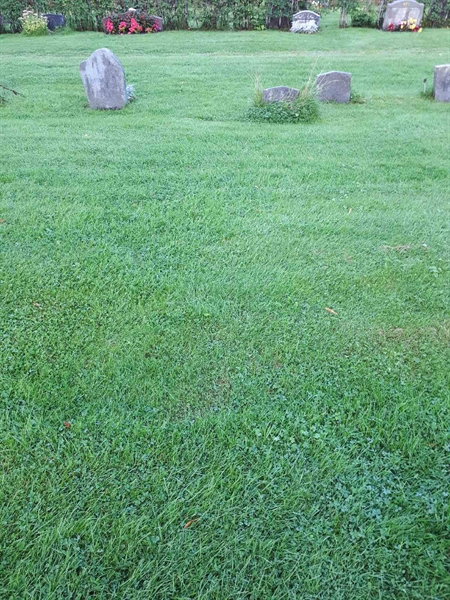 Gravnummer: NK A A   361