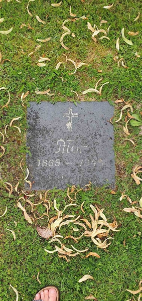 Grave number: 2 01   138