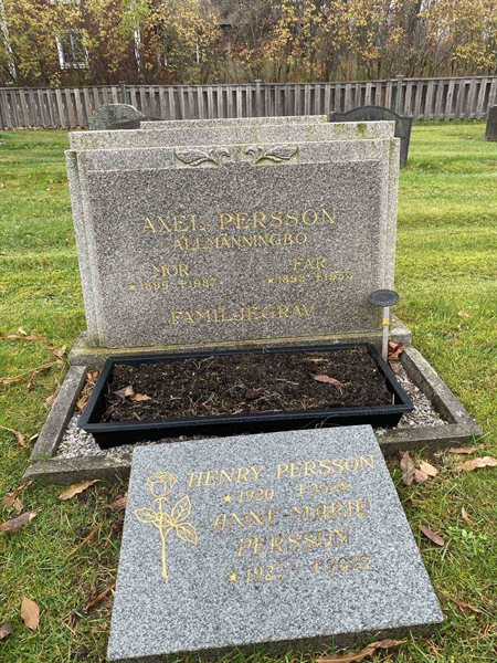 Gravnummer: 6 03    130, 131