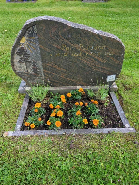 Grave number: 1 29    50-51