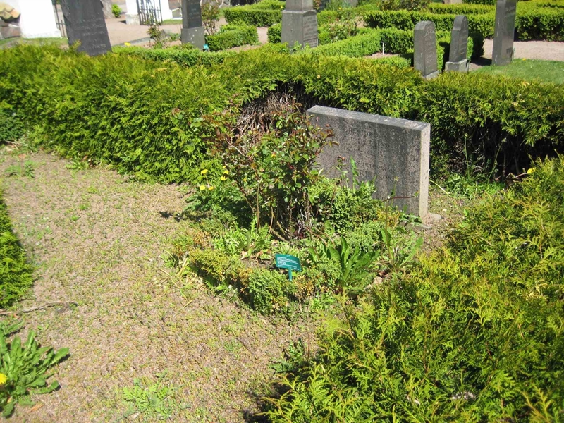 Grave number: BK KV1     3