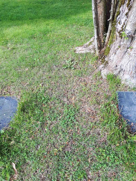 Gravnummer: NK A A   157