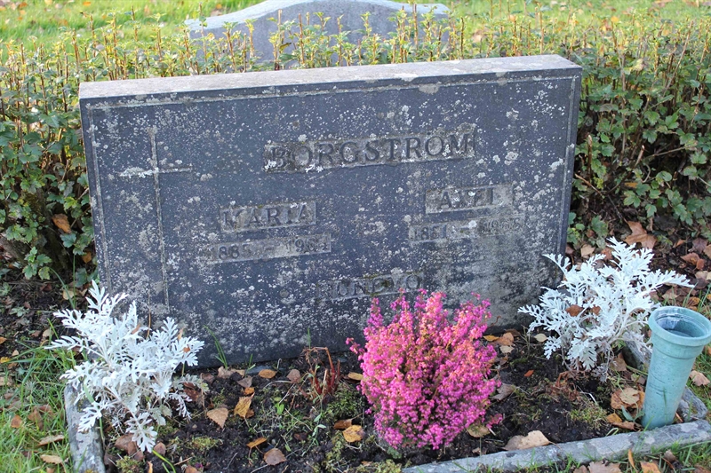 Grave number: A L  669