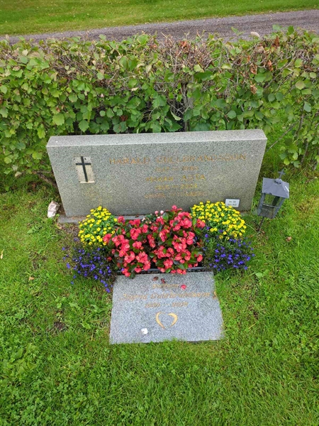 Grave number: 1 23    42-43