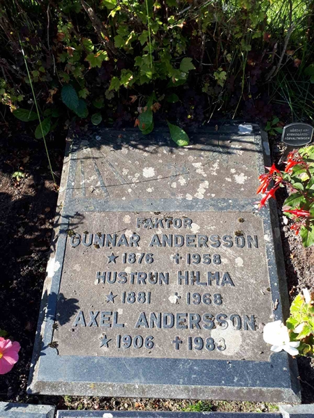 Hautatunnus: NK F G   285