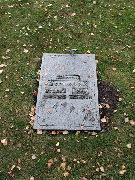 Grave number: Ö 30i    30, 31