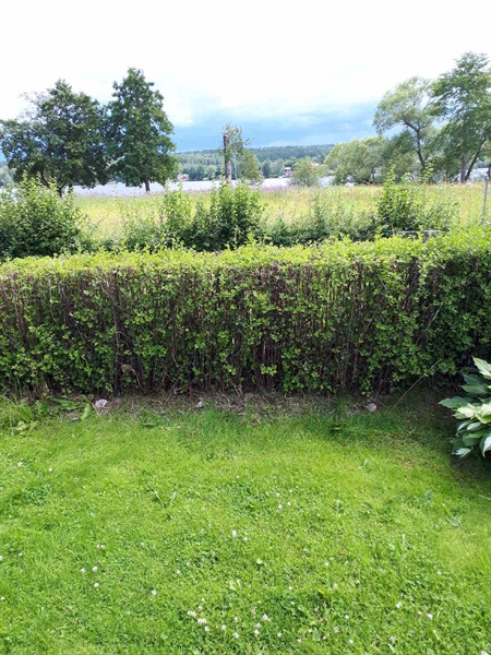 Hautatunnus: GK F 5   511C-512