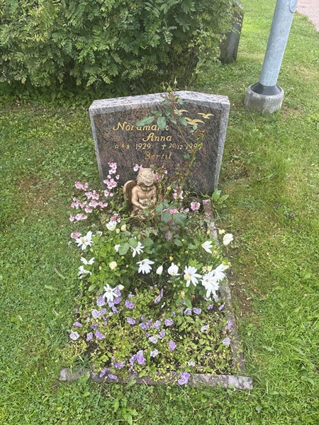 Grave number: 002 2   594