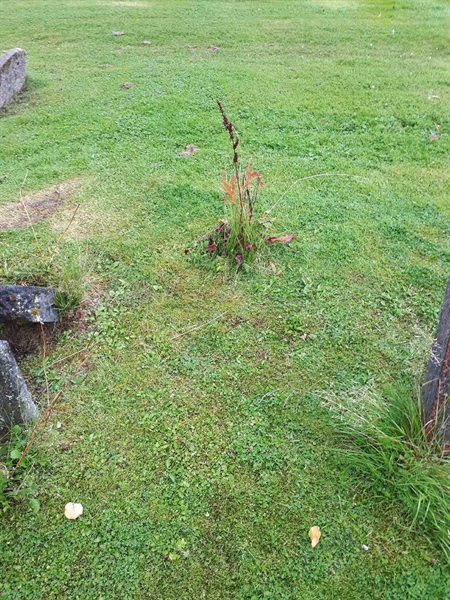 Gravnummer: NK A A    52