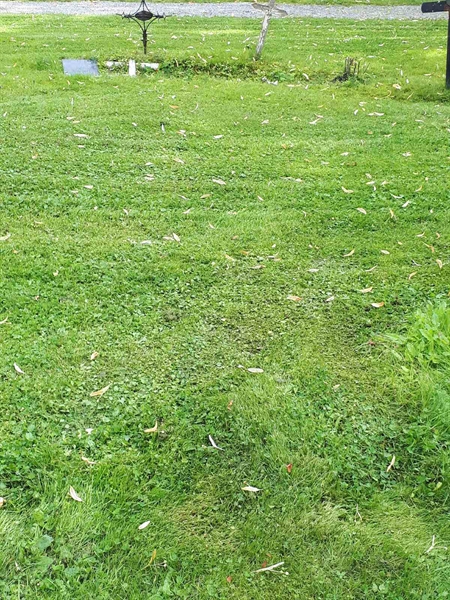 Hautatunnus: GK A 4   254V