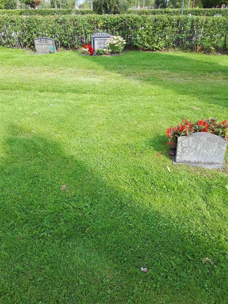 Gravnummer: NK A A   323