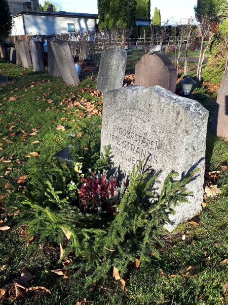 Gravnummer: GK F 3   199