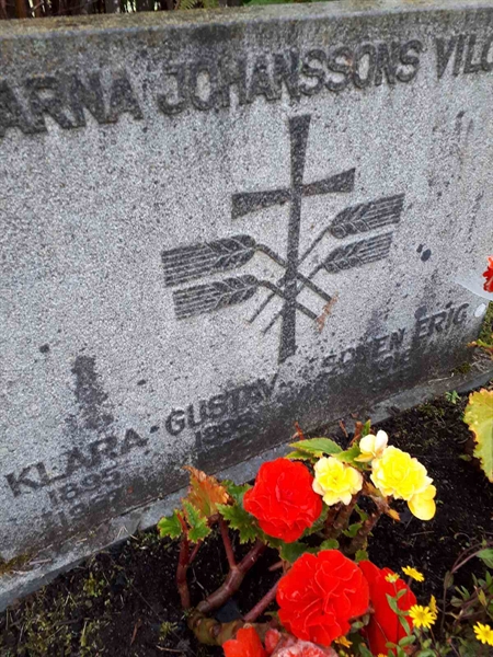 Hautatunnus: NK F B   142