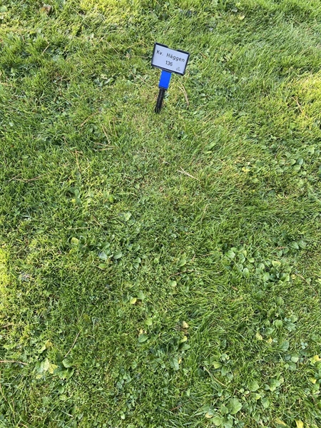 Grave number: 2 H   136