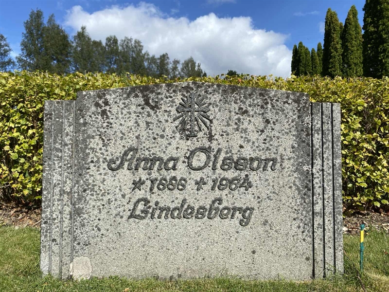 Grave number: 1 17 104