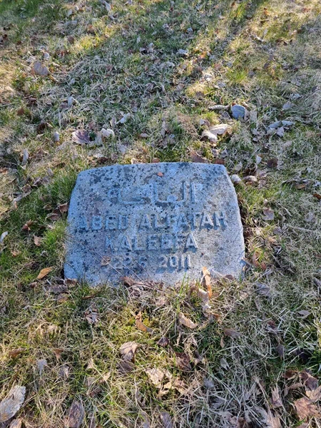 Grave number: 1 35   11