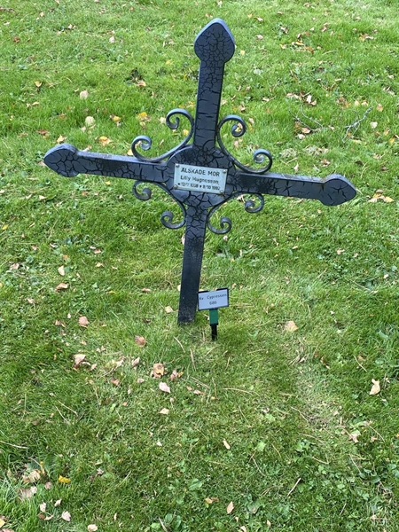 Hautatunnus: 2 C   686