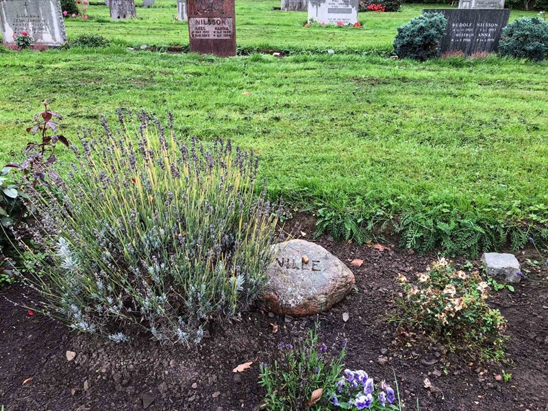 Grave number: Kå 47    97