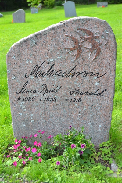 Grave number: 2 D   353
