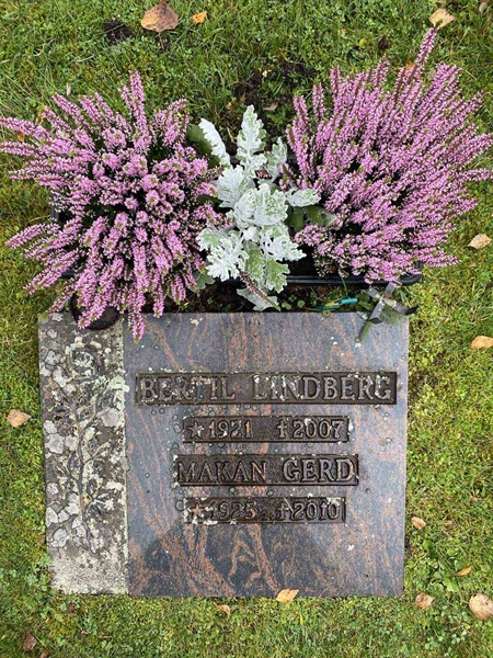 Grave number: 1 24    224