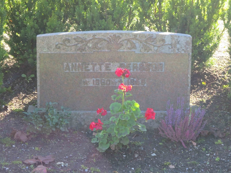 Grave number: HÖB 56    10