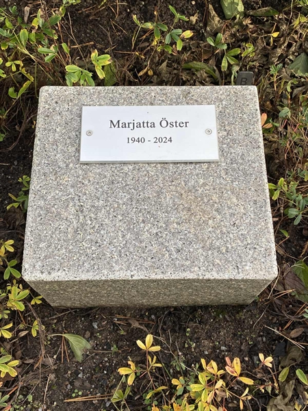 Gravnummer: 2 B     4