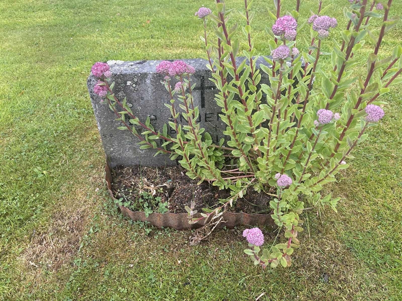 Grave number: 002 1    98