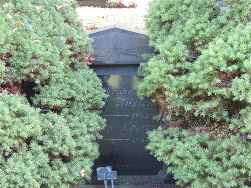 Grave number: 1 10    81