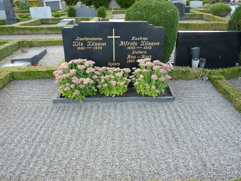 Grave number: SK 3E    19