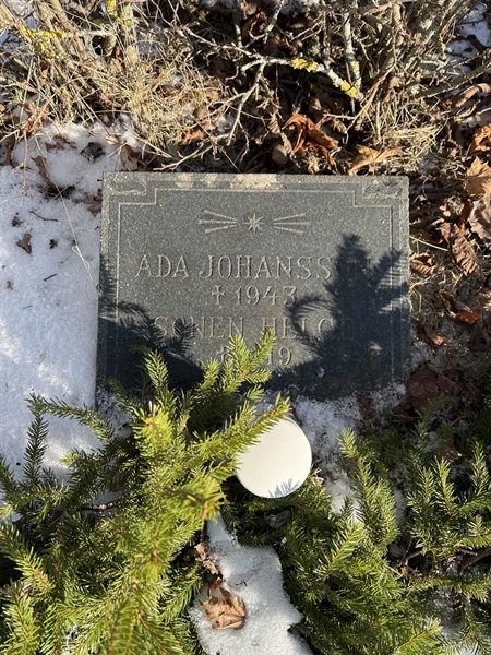 Gravnummer: SJ G    49, 50