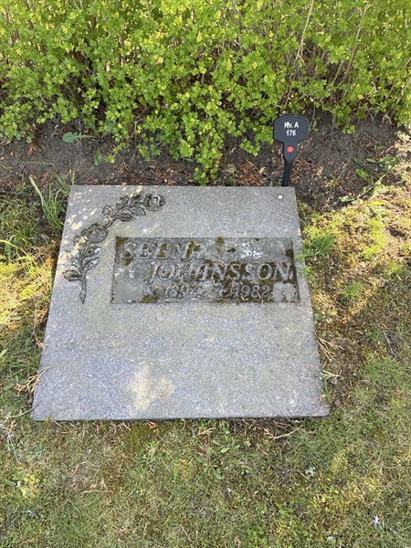 Hautatunnus: 22 A   176