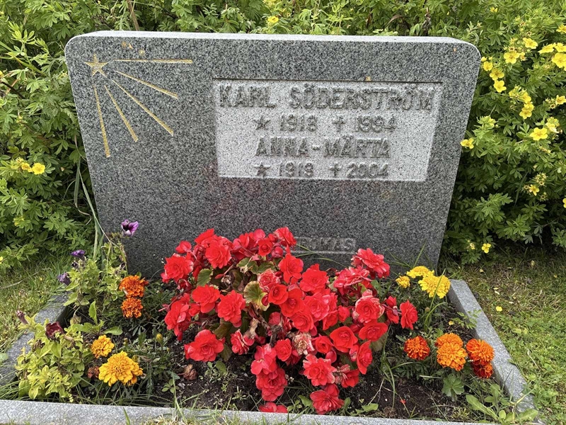 Gravnummer: SÄ NYA   271-272