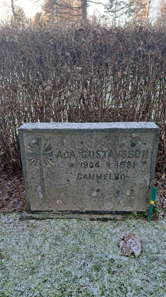 Gravnummer: 6 05    176