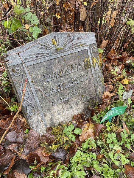 Gravnummer: GK A 3   452