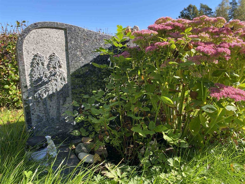 Grave number: 1 22    113