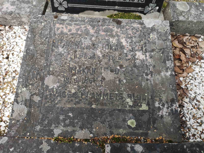 Gravnummer: POK 09     6