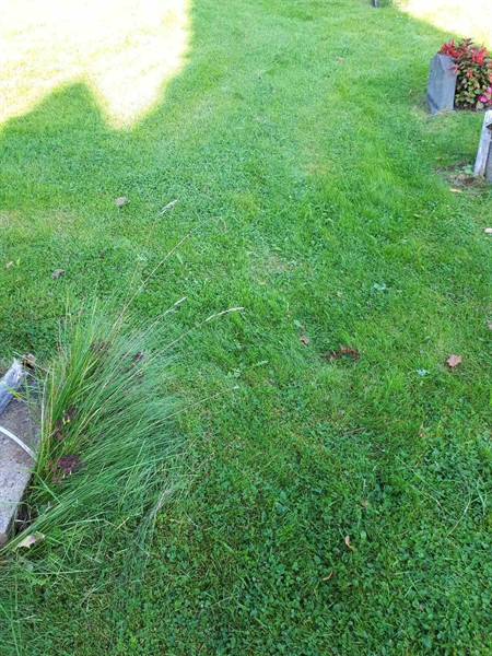 Gravnummer: NK A A   278