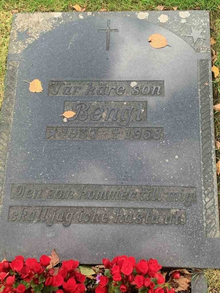 Grave number: VK B   269