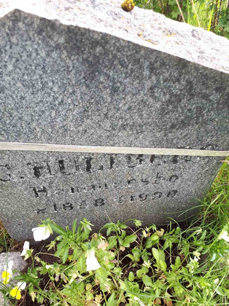 Hautatunnus: GK A 5   253M