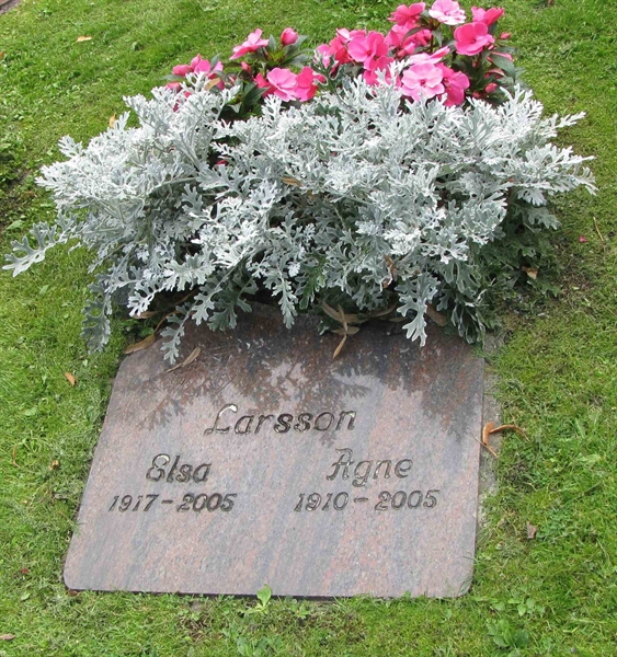 Grave number: HN KASTA    80