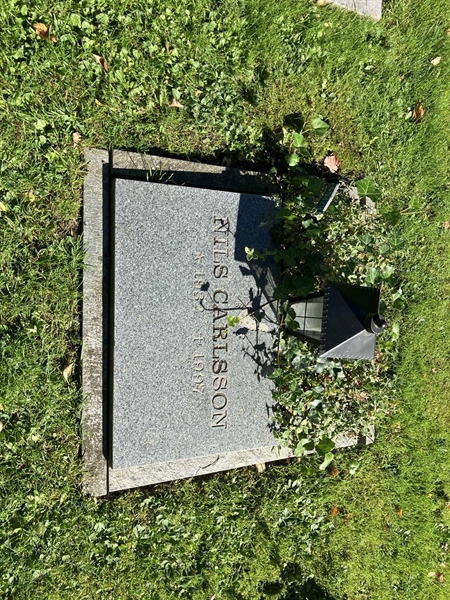 Grave number: Ö 45   329