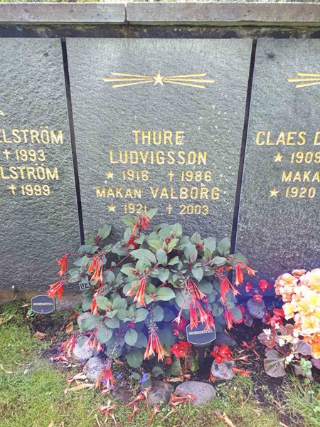 Hautatunnus: GK U 4    22