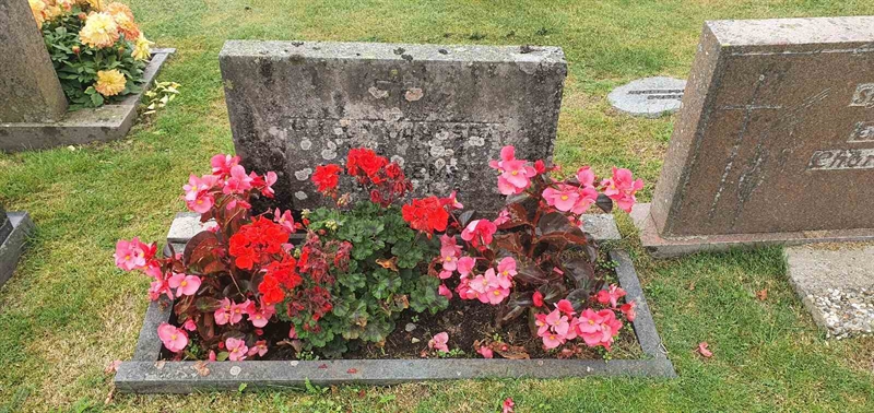 Grave number: N 003  0295