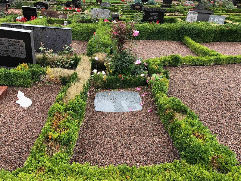 Grave number: Kå 42    11