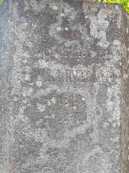 Hautatunnus: GK F 1    67